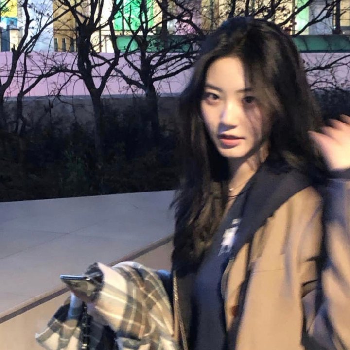 西格弗里德