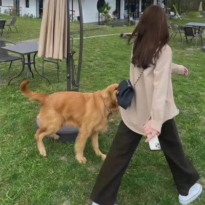 野蛮女霸王